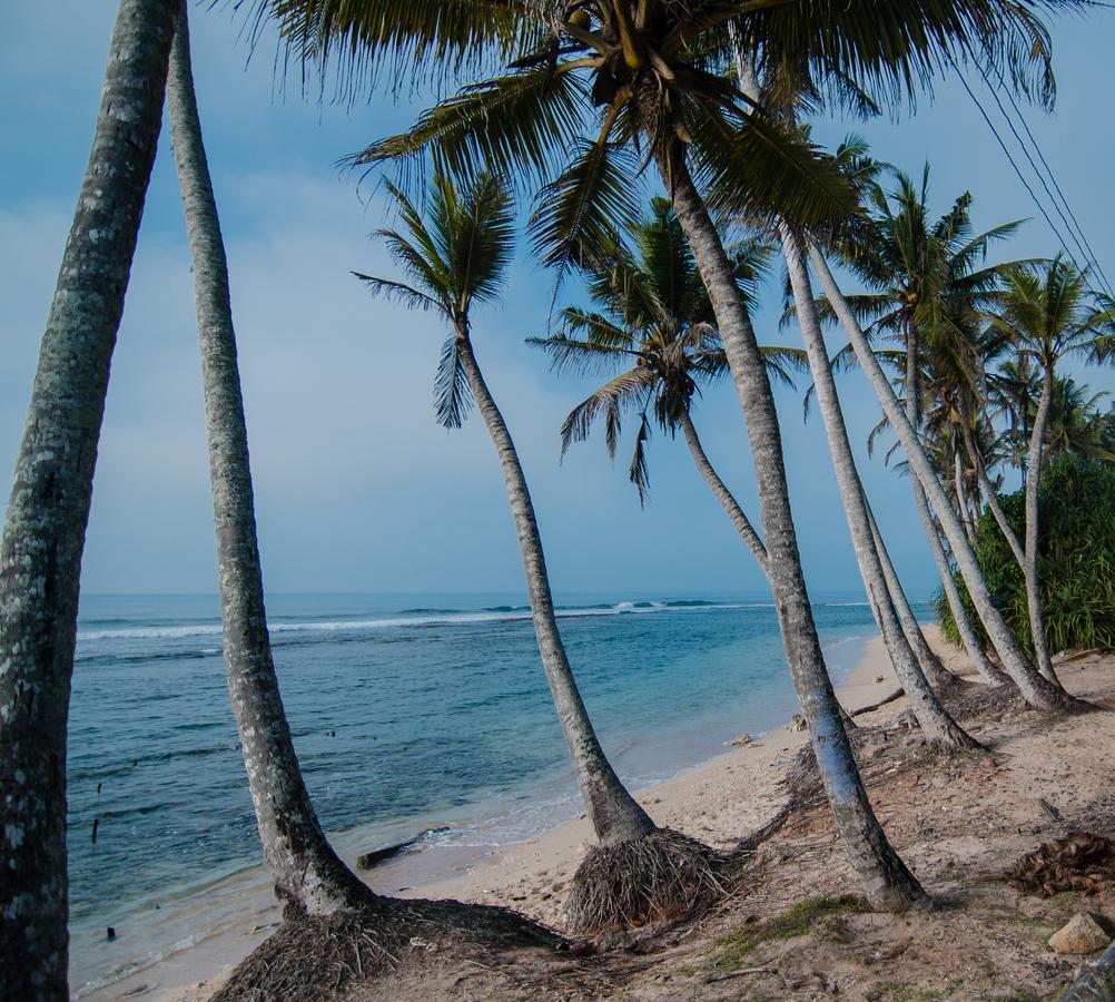 Savenrose Beach Villa Matara Exterior foto